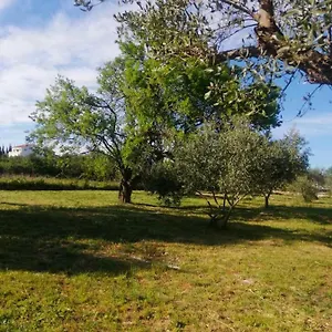 S&m Camping Sveti Filip i Jakov